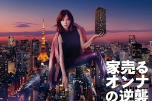 日剧《卖房子的女人》第一季+续集逆袭+回来了 720P日语中字[MKV/12.30GB]百度云下载下载